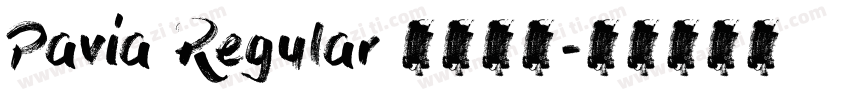 Pavia Regular 语言英文字体转换